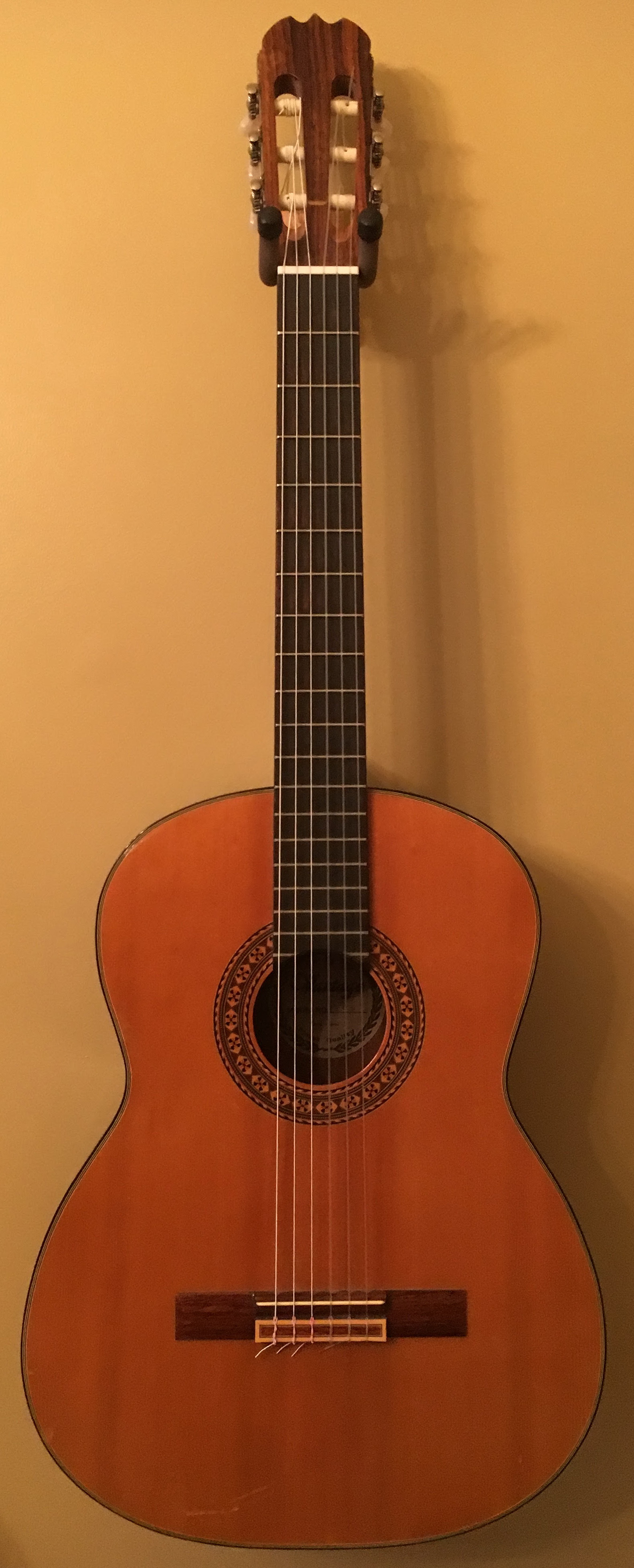 Vantage on sale classical guitar